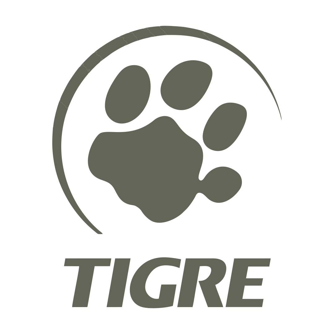 Tigre